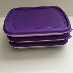 Wilton Fondant, Gum Paste and Royal Icing Storage Set, 6-Piece